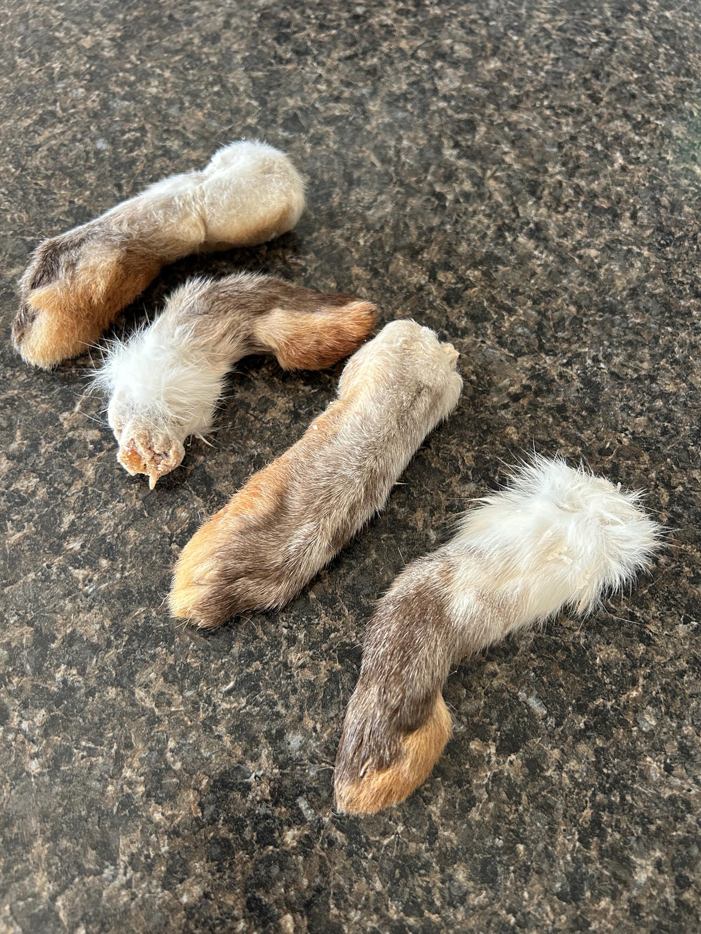 Rabbits Feet - Dried Rabbits Feet - Animal Treats - Dog Treats - Etsy