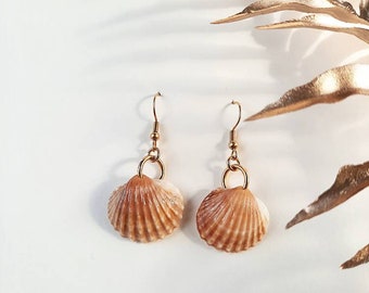 Gold stainless steel earrings with seashell pendant