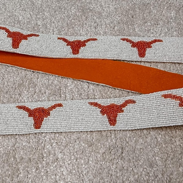 File:Texas Longhorn in Alvin, Texas.jpg - Wikipedia