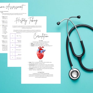 Patient Assessment Guide PDF | EMS Paramedic Nursing Student Study Sheet | Medical Assessment Printable | Healthcare | Digital Download