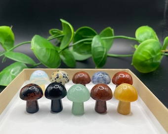 May include: A set of ten small, polished gemstone mushroom figurines in various colors, including red, green, black, white, and blue. The figurines are arranged in a box with a light brown interior.
