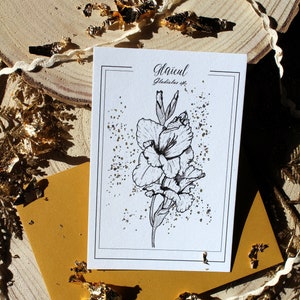 Carte Postale Fleur Éternelle Glaïeul Noir et Doré – Illustration Botanique Minimaliste, Reproduction Artistique fleurs glaïeuls Élégante