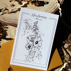 Eternal Flower Postcard Hollyhock Black Gold Minimalist Romantic Gift Botanical Illustration Floral Art Print