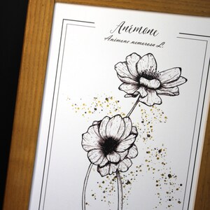 Illustration original drawing Botanical reproduction Poster drawing flowers anemones Hot gilding Black and white engraving Elegant gift idea