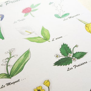 Tableau mural aquarelle unique Reproduction herbier printemps Peinture fleurs saison Végétaux original Affiche vintage Planche botanique