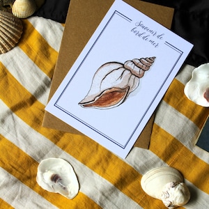 Carte postale aquarelle bord de mer – Illustration coquillage bulot – Affiche vintage marine – Gravure ancienne souvenir côtier