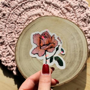Sticker transparent holographique – Rose Rosier aquarelle – Autocollant floral délicat – Déco nature – Fleurs de printemps