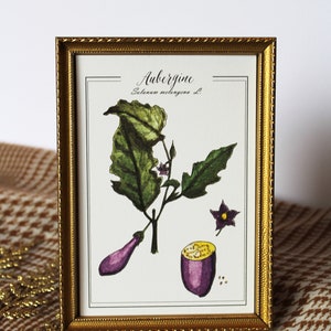 Carte postale aquarelle originale Reproduction botanique vintage d'une aubergine et son feuillage, affiche rétro de plante du potager