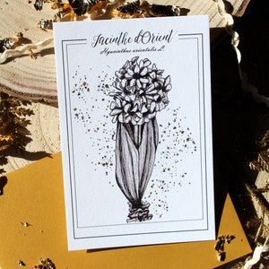 Carte postale fleur éternelle Jacinthe noire dorée Illustration botanique minimaliste Cadeau raffiné délicat Reproduction artistique florale