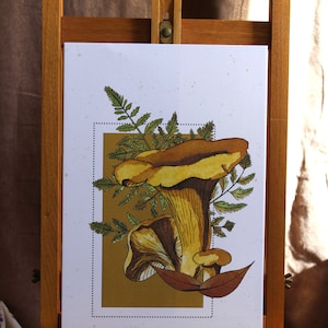 Affiche murale aquarelle décorative reproduction originale champignon girolle Carte d'amour nature Poster printemps Cadeau vintage rétro