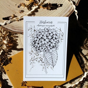 Carte Postale Fleur Éternelle Hortensia Noir et Doré – Illustration Botanique Minimaliste, Reproduction Artistique tête Hortensia Élégant