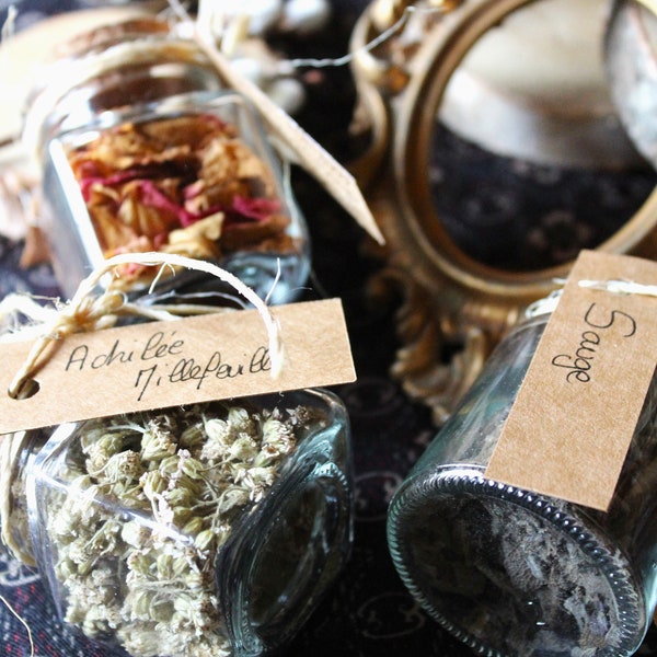 Witch's herbs Vial dried plants for white magic Herbalism green magic plants magic potions Herbal tea Mother's Day gift
