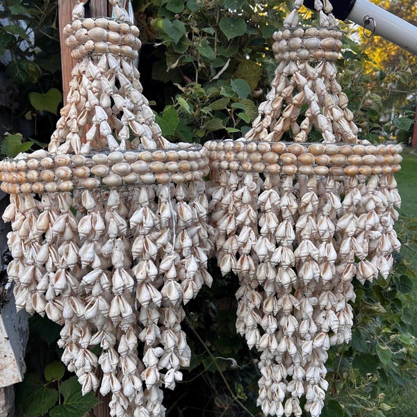 Seashell Chandelier - Etsy