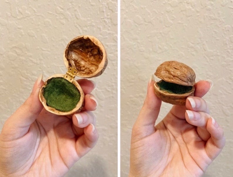 Walnut Shell Giftbox Unique Cottagecore Jewelry Box Etsy