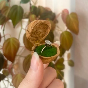 Walnut Shell Ring Box | Unique Cottagecore Jewelry Box