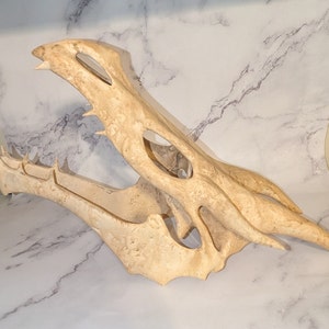 Réplica de calavera de dragón impresa en 3D: decoración de fantasía, arte gótico, escultura de criatura mítica