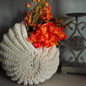 Crochet Ammonite Seashell