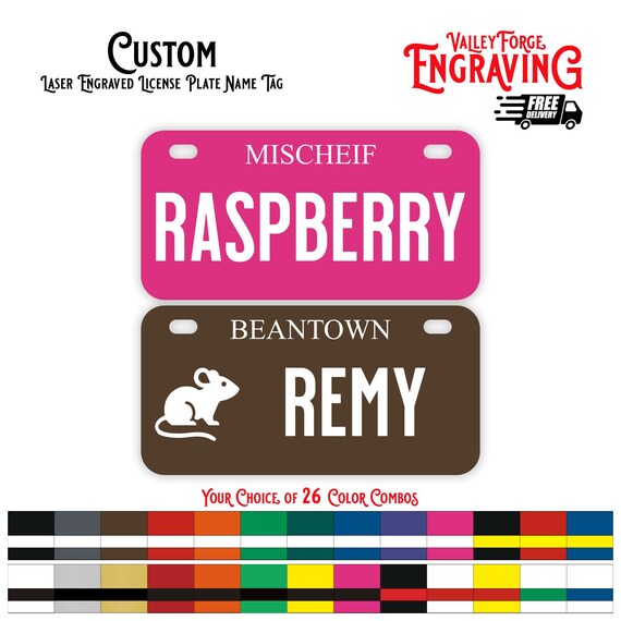 Personalized Pet Cage License Plate, Pet License Plate, License Plate for Cages, Rat, Ferret, Mouse, Chinchilla, Bird, Custom Name Plates