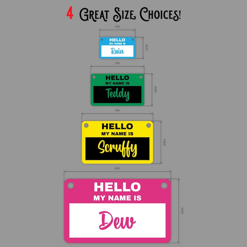 May include: Four different sizes of personalized pet ID tags. The tags are made of plastic and have a hole for a leash. The tags are blue, green, yellow, and pink. The text on the tags reads "Hello, my name is" followed by the pet's name. The names are Rain, Teddy, Scruffy, and Dew. The sizes are 2 inches, 3 inches, 4 inches, and 6 inches.