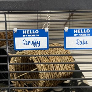 May include: Two blue name tags with white text hanging on a black wire cage. The top tag says "HELLO MY NAME IS Scruffy" and the bottom tag says "HELLO MY NAME IS Rain".