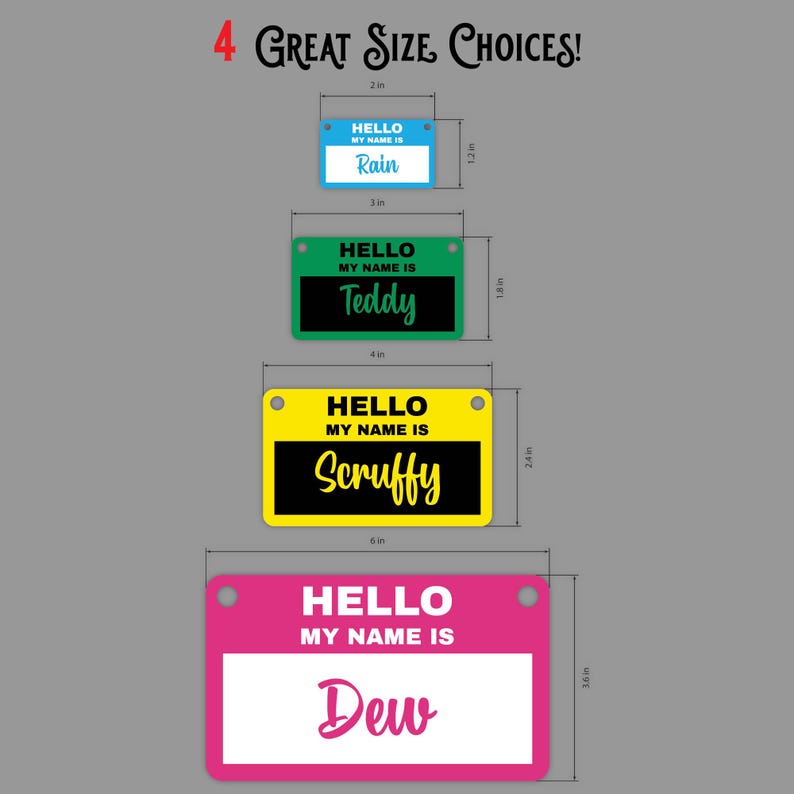 May include: Four different sizes of personalized pet ID tags. The tags are made of plastic and have a hole for a leash. The tags are blue, green, yellow, and pink. The text on the tags reads "Hello, my name is" followed by the pet's name. The names are Rain, Teddy, Scruffy, and Dew. The sizes are 2 inches, 3 inches, 4 inches, and 6 inches.
