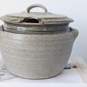 May include: A speckled stoneware lidded casserole dish. The light grey dish has a handle on the lid and two side handles. Darker grey accents are around the rim and lid. The dish is sitting on a stack of books.