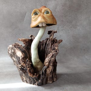 May include: A sculpted mushroom figure with a tan, wrinkled cap featuring large green eyes and two prominent white teeth. The mushroom has a pale, smooth stalk emerging from a dark, textured piece of natural driftwood with deep crevices.