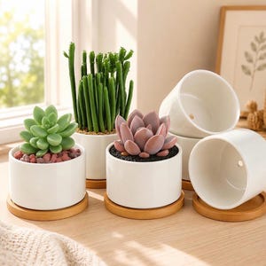 May include: A set of white cylindrical ceramic planters, each resting on a circular bamboo saucer. Two planters contain green succulents and a tall green plant, while two empty planters are stacked and positioned to the right side.