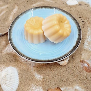 Fondants parfumés MONOI de Tahiti x6
