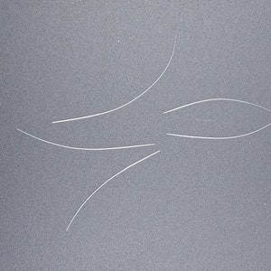 Real, Naturally Shed Cat Whiskers (Set of 5)