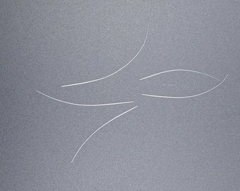 Real, Naturally Shed Cat Whiskers (Set of 5)