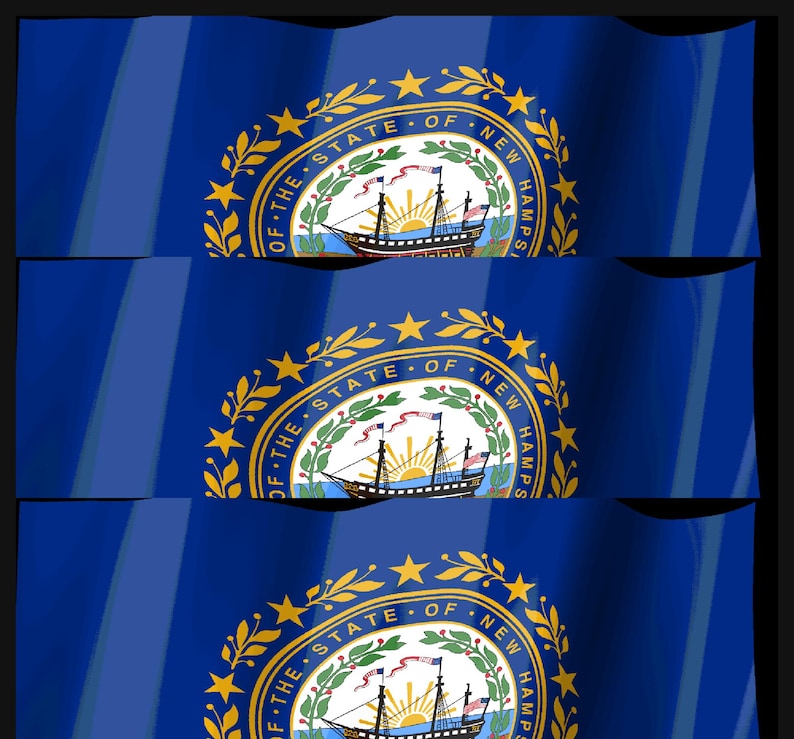 May include: A blue flag featuring the state seal of New Hampshire in the center. The seal displays a ship on water with a rising sun, surrounded by a laurel wreath and nine stars. The text reads THE STATE OF NEW HAMPSHIRE in a circular border.