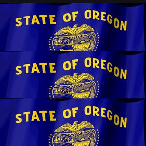 Może przedstawiać: Niebieska flaga z napisem STATE OF OREGON ż&oacute;łtymi wielkimi literami. Pod tekstem znajduje się ż&oacute;łty emblemat przedstawiający orła siedzącego nad tarczą zawierającą kryty w&oacute;z, słońce i statki na wodzie, otoczony trzydziestoma trzema gwiazdami.