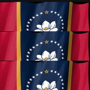 Mississippi Flag Stream Deck Screensaver, Animated Waving Flag GIF, Elgato MK2 XL Plus, Instant Digital Download image 4