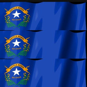 Pode incluir: Tr&ecirc;s bandeiras azuis do Nevada empilhadas, cada uma com uma estrela branca de cinco pontas, uma fita dourada com o texto BATTLE BORN e ramos verdes de artem&iacute;sia com flores amarelas. As bandeiras t&ecirc;m uma textura ondulada e enrugada.