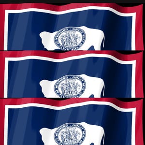 Screensaver met de vlag van Wyoming, geanimeerde GIF van een wapperende vlag, Elgato MK2 XL Plus, direct digitaal te downloaden. afbeelding 4