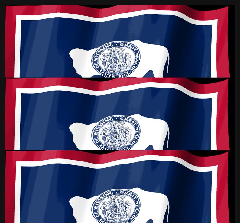 Screensaver met de vlag van Wyoming, geanimeerde GIF van een wapperende vlag, Elgato MK2 XL Plus, direct digitaal te downloaden. afbeelding 4