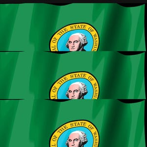 Skärmsläckare med Washington Flag Stream Deck, animerad GIF med viftande flagga, Elgato MK2 XL Plus, omedelbar digital nedladdning bild 4