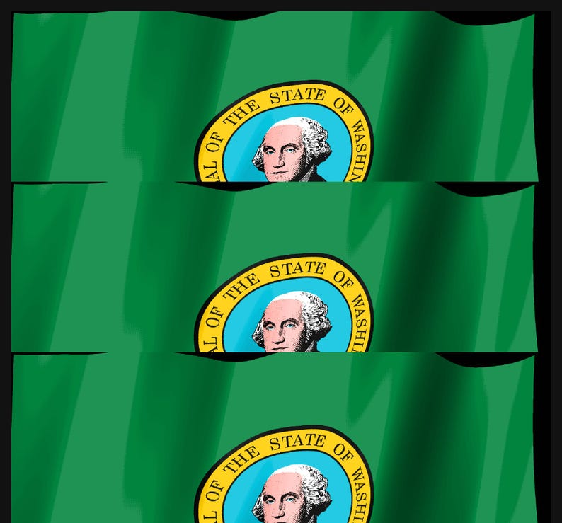 Skärmsläckare med Washington Flag Stream Deck, animerad GIF med viftande flagga, Elgato MK2 XL Plus, omedelbar digital nedladdning bild 4