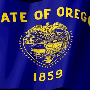 Może przedstawiać: Flaga stanu Oregon ma ciemnoniebieskie tło z ż&oacute;łtym napisem STATE OF OREGON u g&oacute;ry i 1859 u dołu. Pośrodku znajduje się ż&oacute;łta tarcza przedstawiająca w&oacute;z osadnik&oacute;w, statek, słońce oraz orła siedzącego na szczycie tarczy.