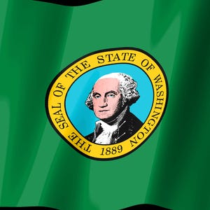 Skärmsläckare med Washington Flag Stream Deck, animerad GIF med viftande flagga, Elgato MK2 XL Plus, omedelbar digital nedladdning bild 2