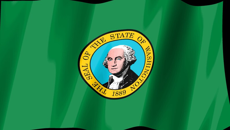 Skärmsläckare med Washington Flag Stream Deck, animerad GIF med viftande flagga, Elgato MK2 XL Plus, omedelbar digital nedladdning bild 2