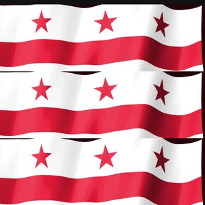 Washington DC Flag Stream Deck Screensaver, Animated Waving Flag GIF, Elgato MK2 XL Plus, Instant Digital Download image 4