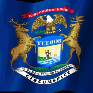 Skärmsläckare för Michigan Flag Stream Deck, animerad viftande flagga-GIF, Elgato MK2 XL Plus, omedelbar digital nedladdning bild 2