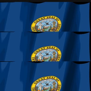 K&ouml;nnte beinhalten: Eine blaue Flagge mit dem Gro&szlig;en Siegel von Idaho in der Mitte, das eine Frau und einen Mann auf beiden Seiten eines Schildes zeigt, der eine Landschaft mit Bergen, einem Fluss und einem Baum enth&auml;lt, mit dem Text Esto Perpetua dar&uuml;ber.