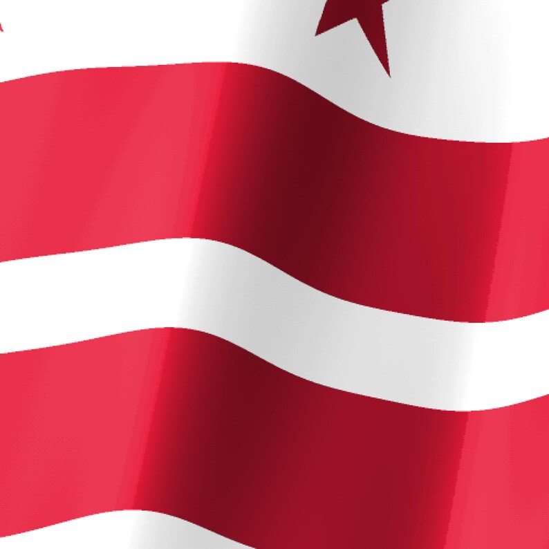 Washington DC Flag Stream Deck Screensaver, Animated Waving Flag GIF, Elgato MK2 XL Plus, Instant Digital Download image 3