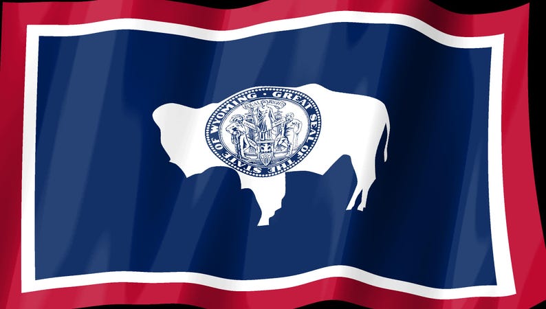 Screensaver met de vlag van Wyoming, geanimeerde GIF van een wapperende vlag, Elgato MK2 XL Plus, direct digitaal te downloaden. afbeelding 2