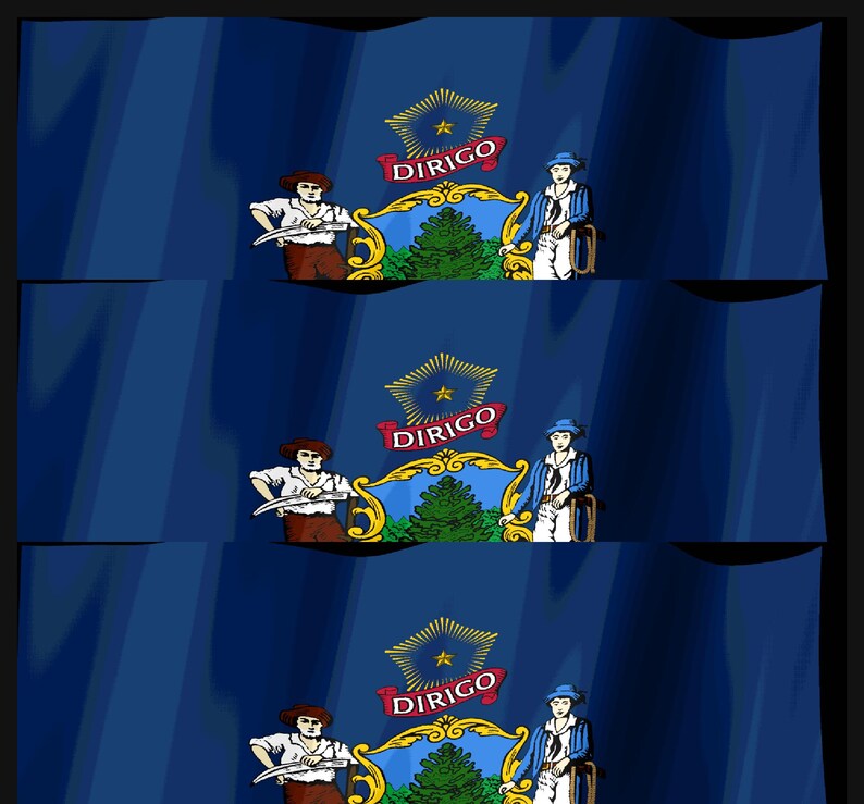 May include: The state flag of Maine features a deep blue field with a central coat of arms. It displays a pine tree, a moose, and two figures representing a farmer and a sailor. Above the shield is a star and a red ribbon with the word DIRIGO.