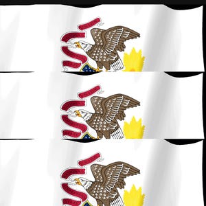 Screensaver met de vlag van Illinois, geanimeerde GIF van een wapperende vlag, Elgato MK2 XL Plus, direct digitaal te downloaden. afbeelding 4