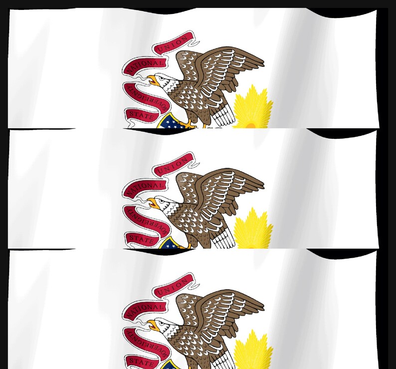 Screensaver met de vlag van Illinois, geanimeerde GIF van een wapperende vlag, Elgato MK2 XL Plus, direct digitaal te downloaden. afbeelding 4